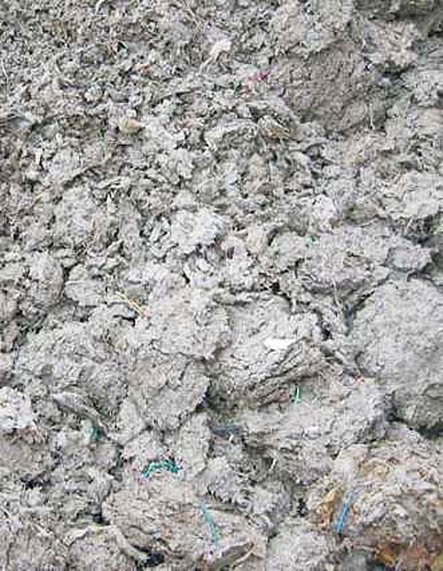 Washed Debris